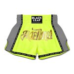 Boxing Muay Thai Shorts in Different Colors