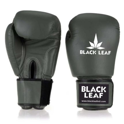 New Style Boxing gloves