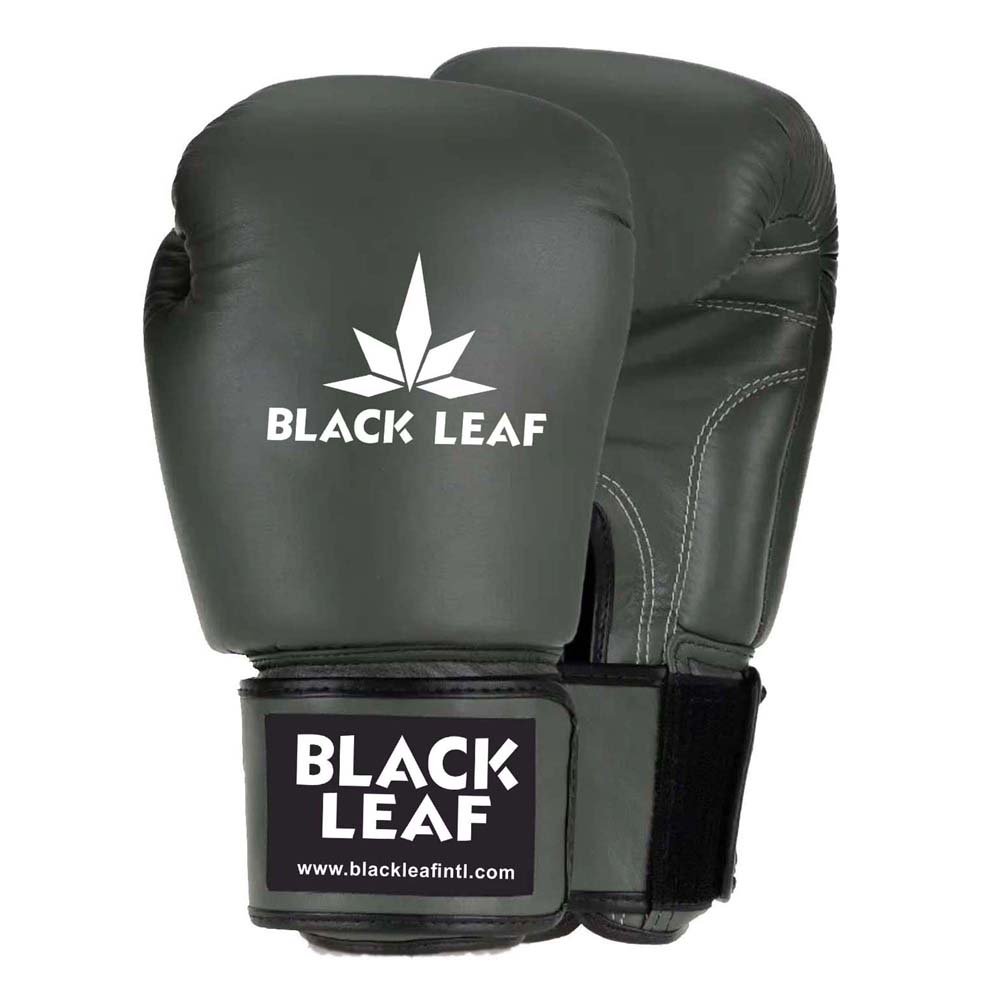 BL-BG-1013 New Style Boxing gloves